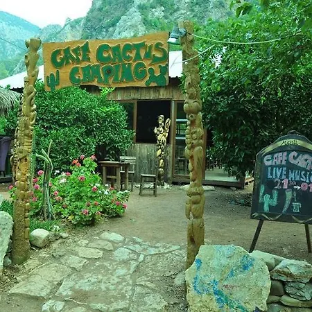 Cafe Cactus Camping Hotel
